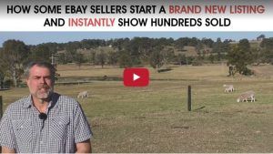 How some eBay sellers start a brand new