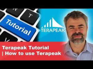 How to use Terapeak