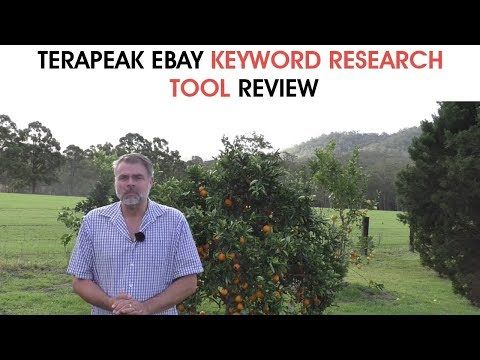 eBay Keyword Research using the Terapeak